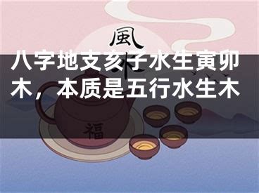 子水 陰陽|八字十二地支詳解——子